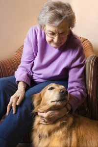 Elderly Caucasian woman in bedroom at retirement community center petting therapy dog.