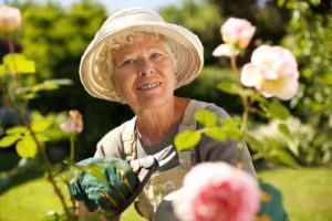 Elderly Care in Springfield VA: Elderly Container Gardening